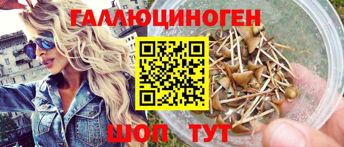 Вичуга  Псилоцибиновые грибы мухоморы  Вход с VPN 