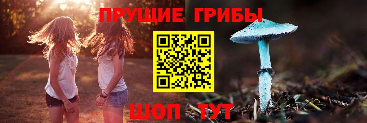 Псилоцибиновые грибы мухоморы Вичуга